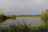 DSC_3945F Oostvaardersplassen.jpg