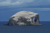 DSC01873F Bass Rock.jpg