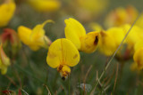 DSC02897F.jpg
