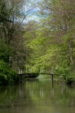 700_4935F park Torenvliet.jpg
