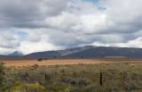 D40_4373F.jpg