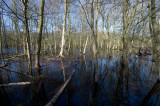 D40_9888F Duin en Kruidberg/Santpoort.jpg