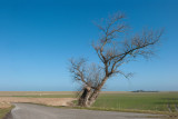 700_0904F Wissenkerke.jpg