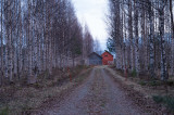 D4S_7065F Finland.jpg