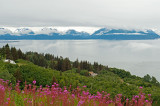 D4S_8088F Alaska.jpg