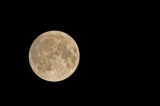 D4S_6207F volle maan.jpg