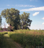 Entrance to Cherokee Marsh - Madison Wisconsin