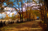 Path to the Homeplace