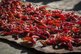 Chillies were drying everywhere