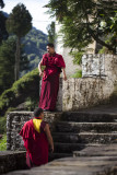 Monks at the Trongsa Dzong