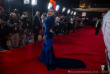_MG_7000 Karlee Grey_.jpg
