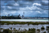 Auckland City, Westhaven Marina, Waitemata Harbour