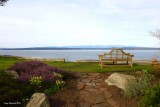 3-18-16 Early Spring on Puget Sound