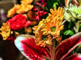 VIEW OF MY FLOWERS