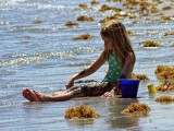 LITTLE GIRL PLAYING IN THE SAND