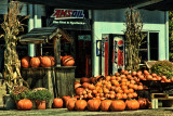 PUMPKINS FOR SALE 