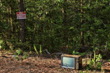 NO DUMPING