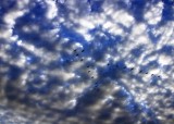 CLOUDS AND CATTLE EGRETS
