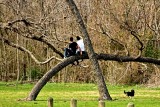 MARCH 2 - TWO IN A TREE