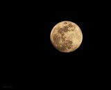 NO MATTER WHERE YOU ARE, WE ARE LOOKING AT THE SAME MOON