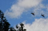FLYING WITH THE BLUE ANGELS - ONLY WAY TO TRAVEL
