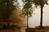 FOGGY THANKSGIVING MORNING