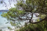 Porquerolles