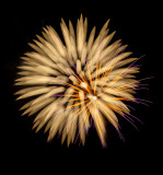 Fireworks-19.jpg
