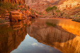 Lake_Powell_2014-39.jpg