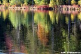 Weiser State Forest Reflection