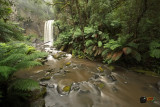 Hopetoun Falls 4, Ottway Ranges, Australia