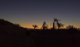 End-of-Night - Dawn-on-the-Desert