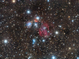 The Angel NGC 2170: Still Life with Reflecting Dust in Monoceros