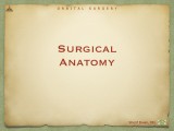 Orbital Surgery.002.jpeg