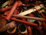 6 january IMG_2849.JPG