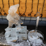3 february IMG_9266a.jpg