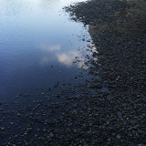 10 february IMG_9528a.jpg