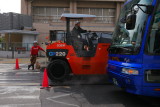 28 march P1100860.JPG