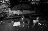 25 june R0012464a.jpg