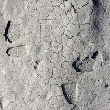 25 january IMG_7789a.jpg
