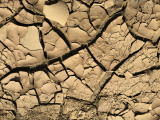 27 january IMG_7799a.jpg