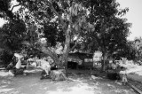 23 april R0017849a.jpg