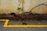 9 august L1060913a.jpg