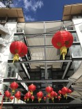 29 january IMG_2768.jpg