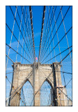 Under the cables of Brooklyn Bridge - New York - 8612