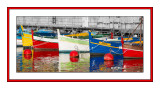 Pointus en couleurs - Port de Commerce - Nice - 4773