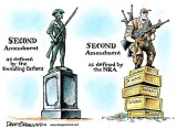 2nd_ammendment.jpg