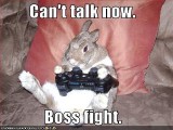 bunnybossfight.jpg