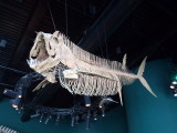 DSC00506.JPG
