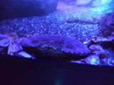 DSC00517.JPG